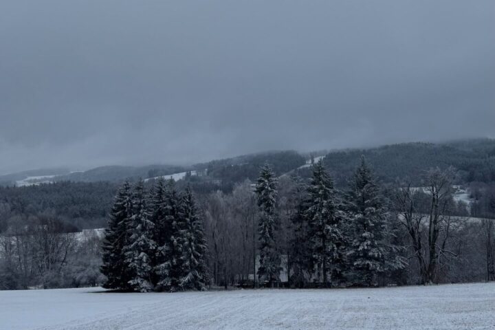 f03d4ffd-8036-4537-a765-d3e0ef0c3514